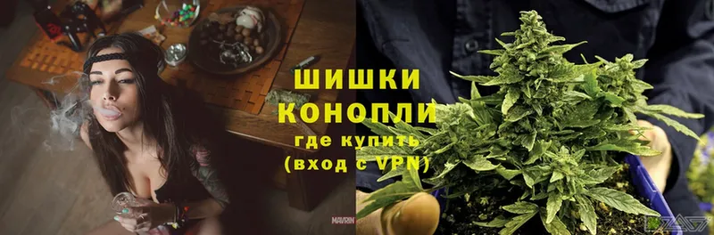 Бошки Шишки White Widow  дарнет шоп  Пятигорск 